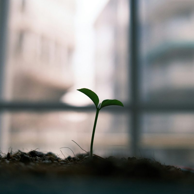 Finding Hope in Broken From the Beginning